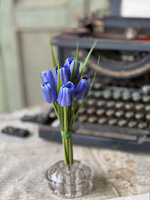 Load image into Gallery viewer, Teeny Tiny Tulips | 7" |