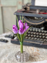 Load image into Gallery viewer, Teeny Tiny Tulips | 7" |