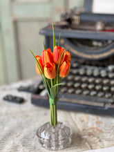Load image into Gallery viewer, Teeny Tiny Tulips | 7" |