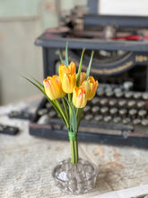 Load image into Gallery viewer, Teeny Tiny Tulips | 7" |