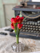 Load image into Gallery viewer, Teeny Tiny Tulips | 7" |