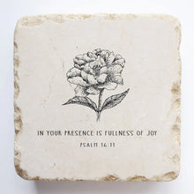 Load image into Gallery viewer, Coaster