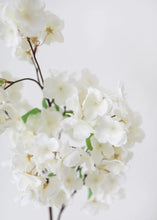Load image into Gallery viewer, Faux Cherry Blossom in Cream White - 44"