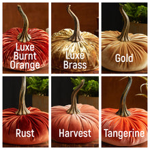 Load image into Gallery viewer, Large Velvet Pumpkins