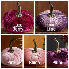 Load image into Gallery viewer, Large Velvet Pumpkins