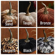 Load image into Gallery viewer, Large Velvet Pumpkins