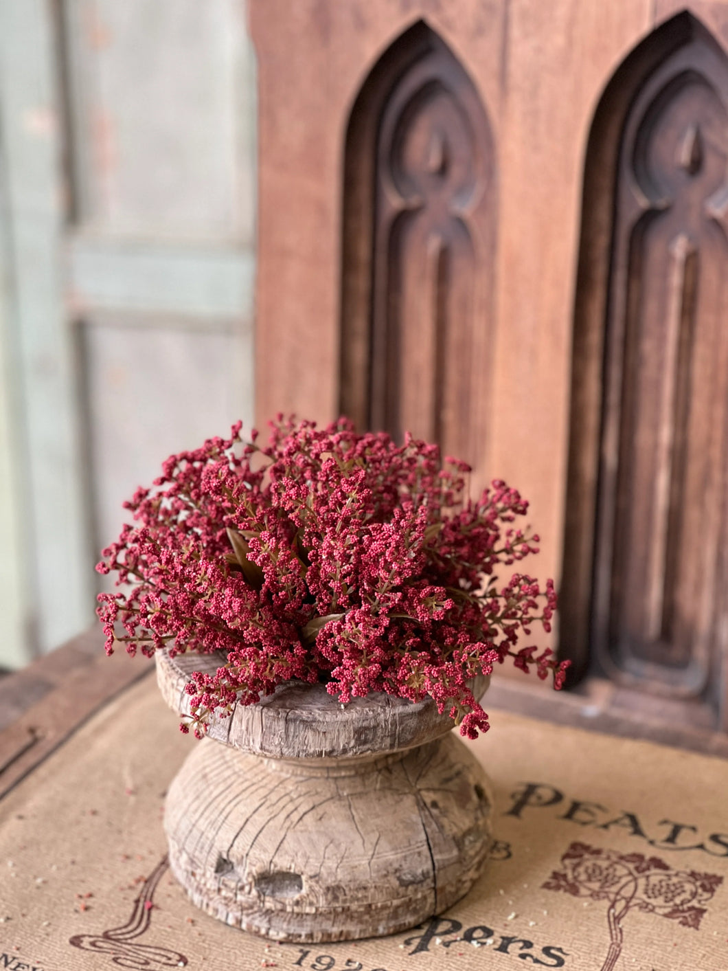 Bursting Astilbe Half Sphere | Sangria | 9