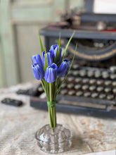 Load image into Gallery viewer, Teeny Tiny Tulips | 7&quot; |
