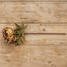 Load image into Gallery viewer, GOLD PEONY STEM
