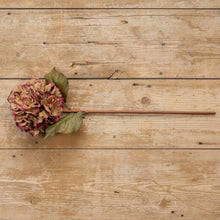 Load image into Gallery viewer, GOLDEN ROSE HYDRANGEA STEM
