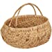 Hyacinth Flower Basket