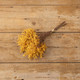 Load image into Gallery viewer, ORANGE GOLDEN ROD BUNDLE
