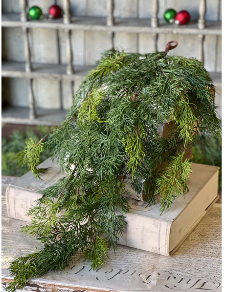 Verdant Cedar Hanging | 31