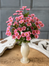 Load image into Gallery viewer, Curtsy Daisy Bush, 16"
