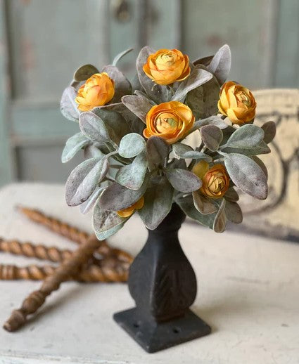 Amberly Blooms Bush | 10.5