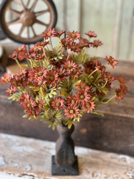 Ashdale Daisy Bush | 16