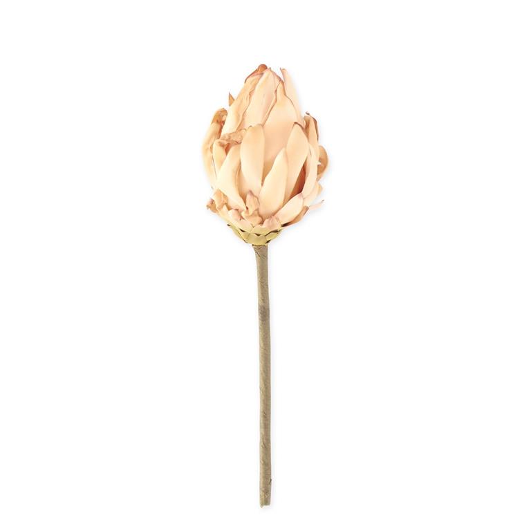 13 Inch Beige Musella Pick