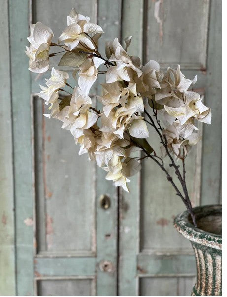 Bougainvillea Spray | 42