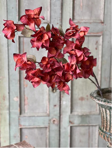 Bougainvillea Spray | 42