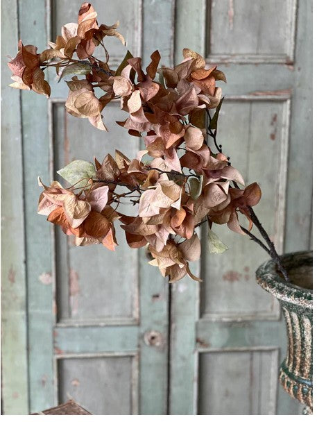 Bougainvillea Spray | 42