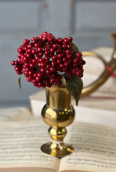 Cherish Berry Pick | 13