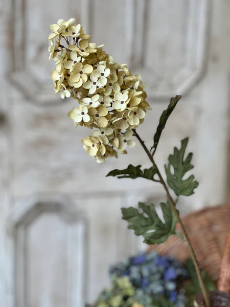 Coventry Hydrangea | 30