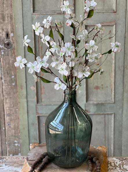 Day Drift Dogwood Bundle | 30