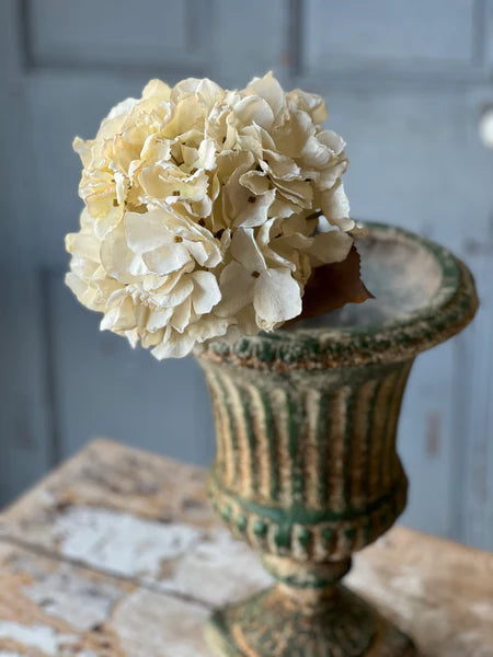 Empire Hydrangea | 25