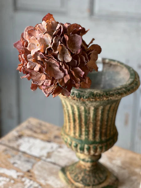 Empire Hydrangea | 25