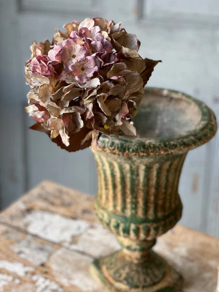 Empire Hydrangea | 25