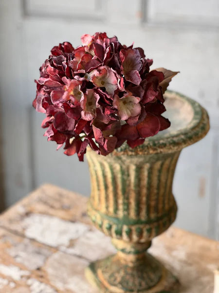 Empire Hydrangea | 25