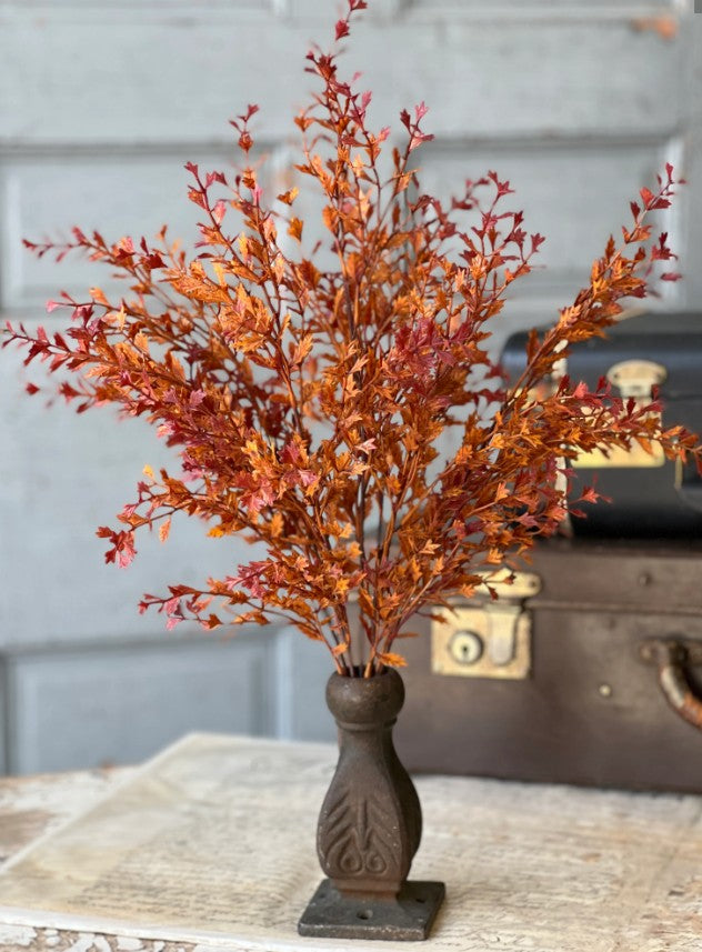 Ever Embers Bush | 20