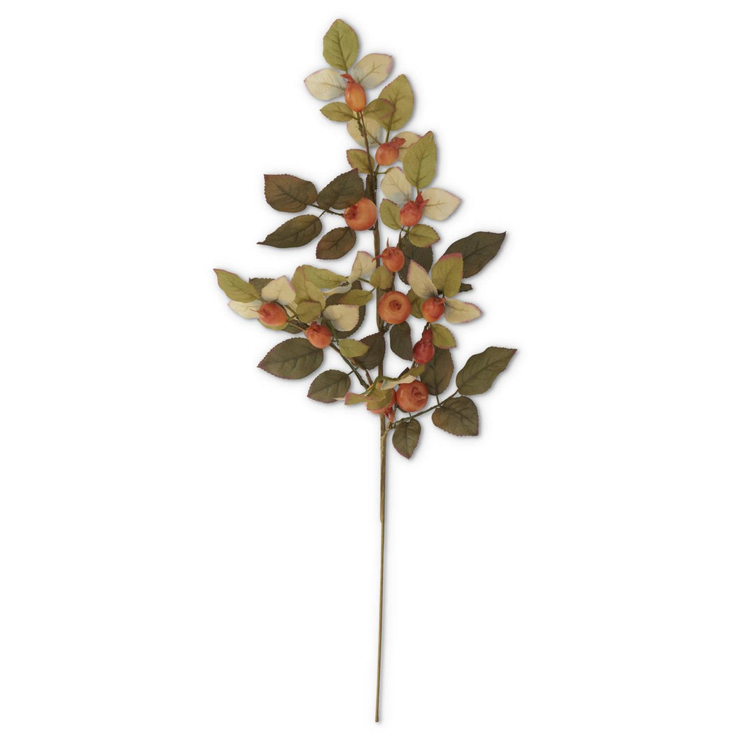 24 Inch Fall Orange Berry Stem