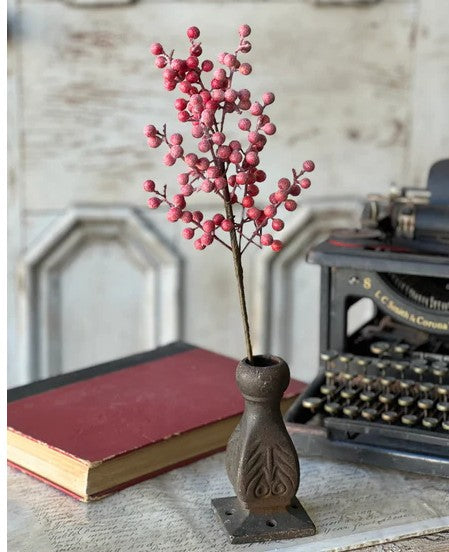 Frosted Fizzy Berry Spray | 18