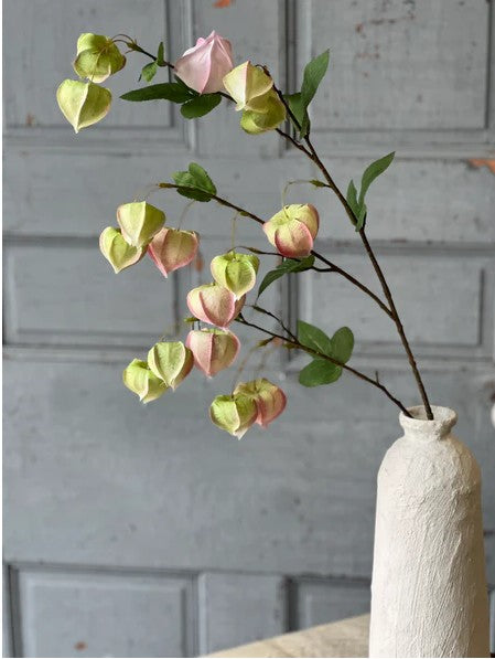 Gondala Buds Spray | 38