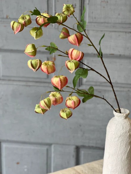 Gondala Buds Spray | 38