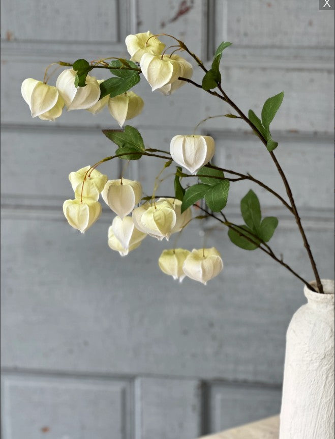 Gondala Buds Spray | 38