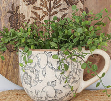 Load image into Gallery viewer, Heirloom Tea Cup Planter- Choice of 2 Colors
