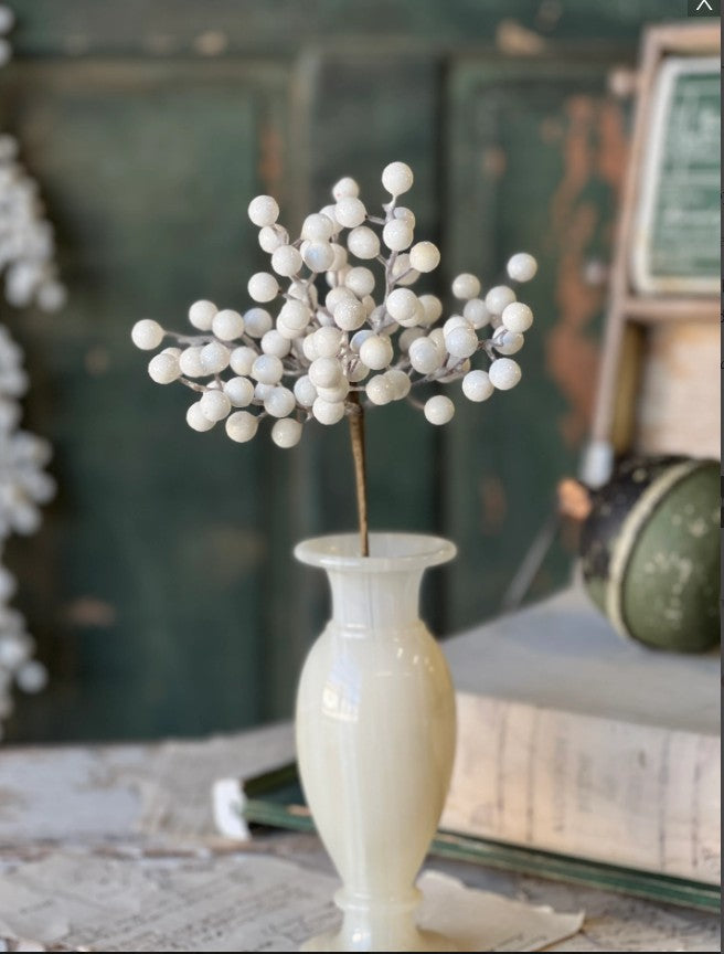 Icy Snowdrop Berry Pick | 12