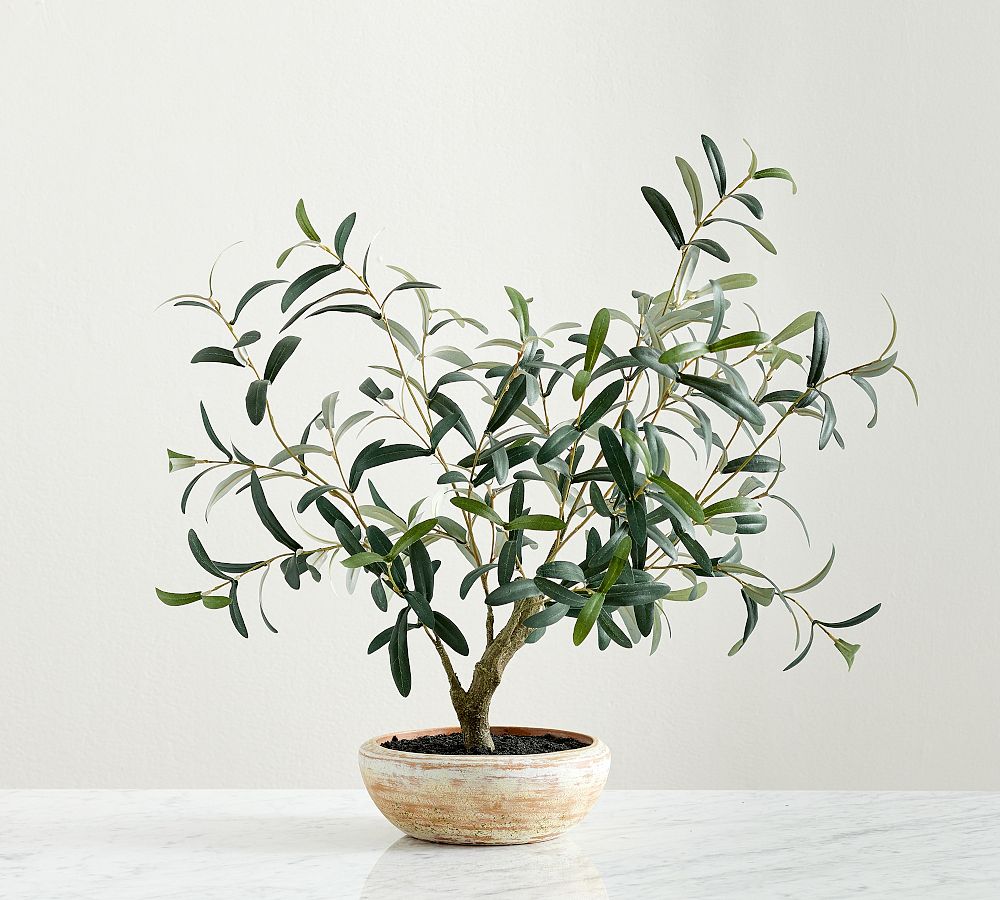 Faux Potted Olive Houseplant