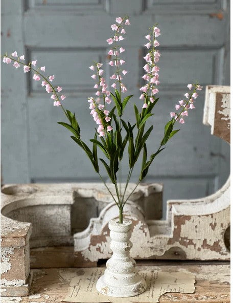 Lofty Lily of the Valley