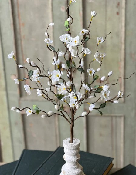 Meandering Blooms Bush | 21