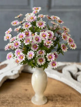 Load image into Gallery viewer, Curtsy Daisy Bush, 16"
