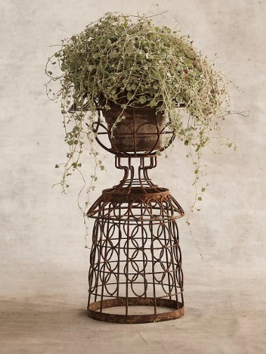 Aged Iron Wire Collared Plant Stand