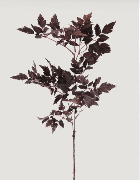 Plum Fake Cimicifuga Ramosa Leaves - 31