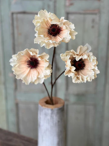 Pomelo Poppies | 29