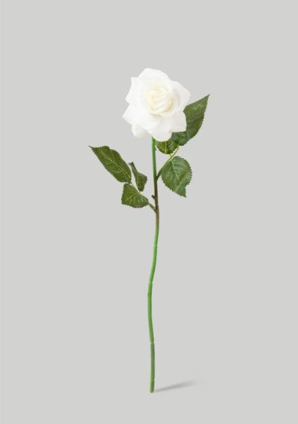 Real Touch Roses in Ivory - 17