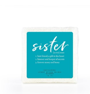Sister Soap Sponge