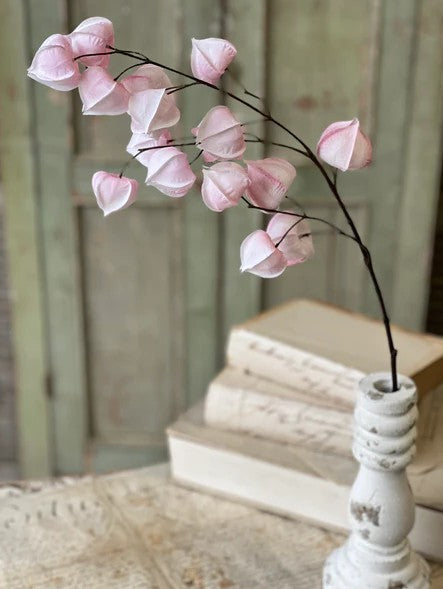 Swooning Buds Spray | 28