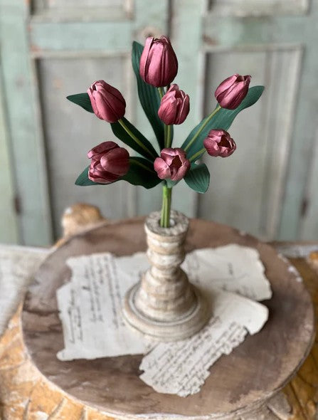 Triumph Tulip Bundle | 14.5